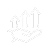 Disposition Strategy